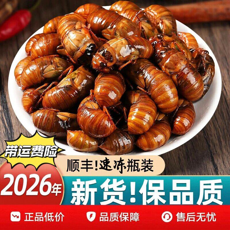 新鲜速冻金蝉爬叉知了猴2026活体速冻可油炸食用