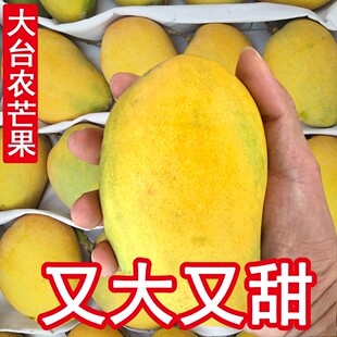 【精选大台农】广西大台农芒果净重5/10斤香甜新鲜包邮应季水果