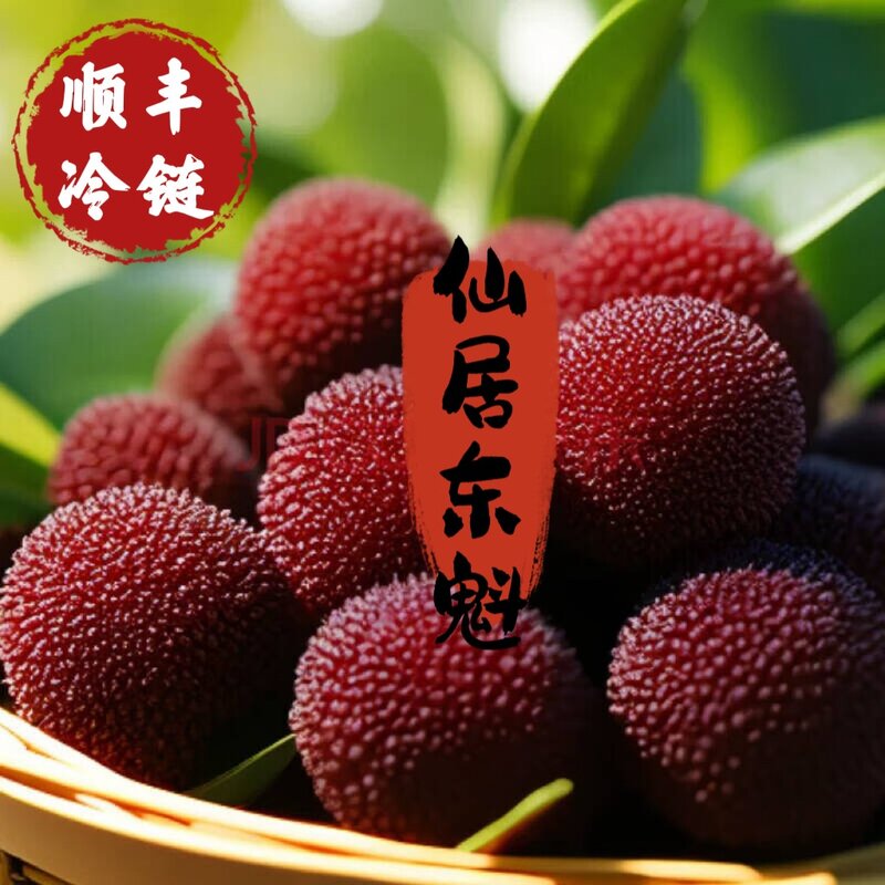 仙居东魁杨梅(顺丰冷链)一品一码.扫码溯源仙居产地现摘现发