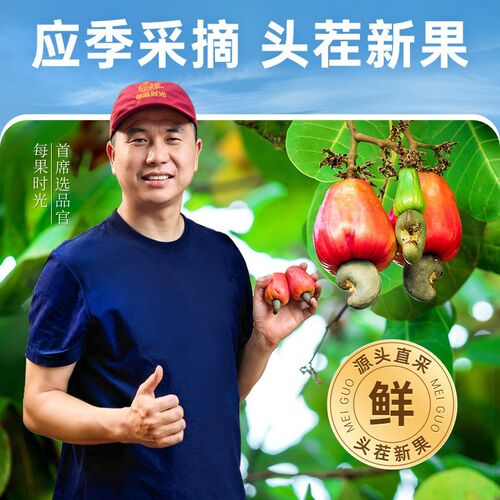 每果时光A170特大颗粒带皮腰果罐装盐焗紫衣紫皮越南特产坚果零食
