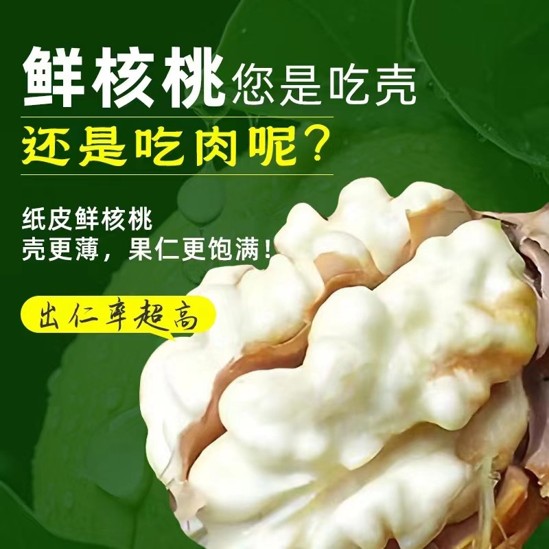 山西纸皮鲜核桃 去青皮新鲜湿核桃 水果核桃薄皮 净重3斤顺丰冷运