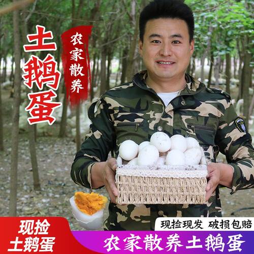 山东新鲜散鹅蛋来自农家散土鹅蛋正宗特产现捡大个生鹅蛋精品