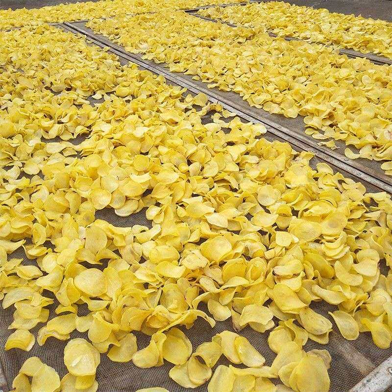 贵州特产干土豆片干洋芋片农家晒干土豆片新货上市