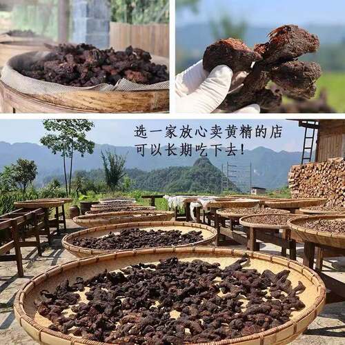 尝寿山九蒸九晒黄精泡茶即食高山农家正宗重庆源头产地多花黄精