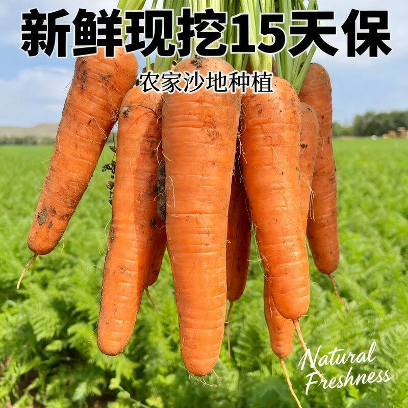 【净重5斤】露天种植新鲜现挖当季红心农**宝辅食可生吃胡萝卜