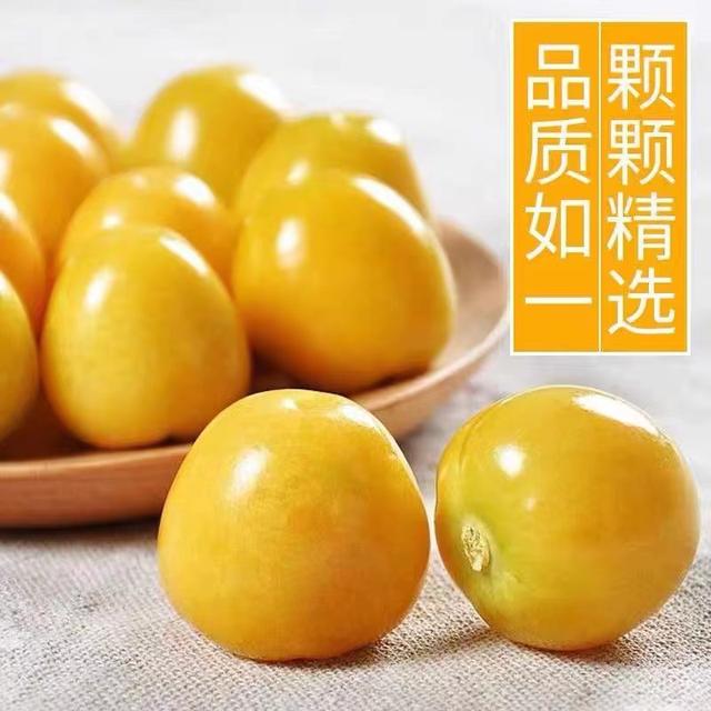 【鲜果包邮】东北特产姑娘果灯笼果甜姑娘果爆甜口感鲜甜多汁水果