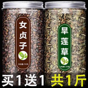 女贞子和墨旱莲正品官方旗舰店新鲜中药材组合泡水喝的功效与作用