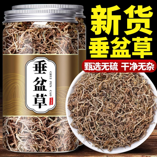 垂盆草中药材500g正品食用新鲜非野生干垂盆草茶的功效与作用泡水