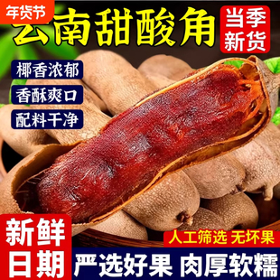 云南特产甜酸角新鲜野生大甜角孕妇零食酸角糕干罗望子蜜饯果脯