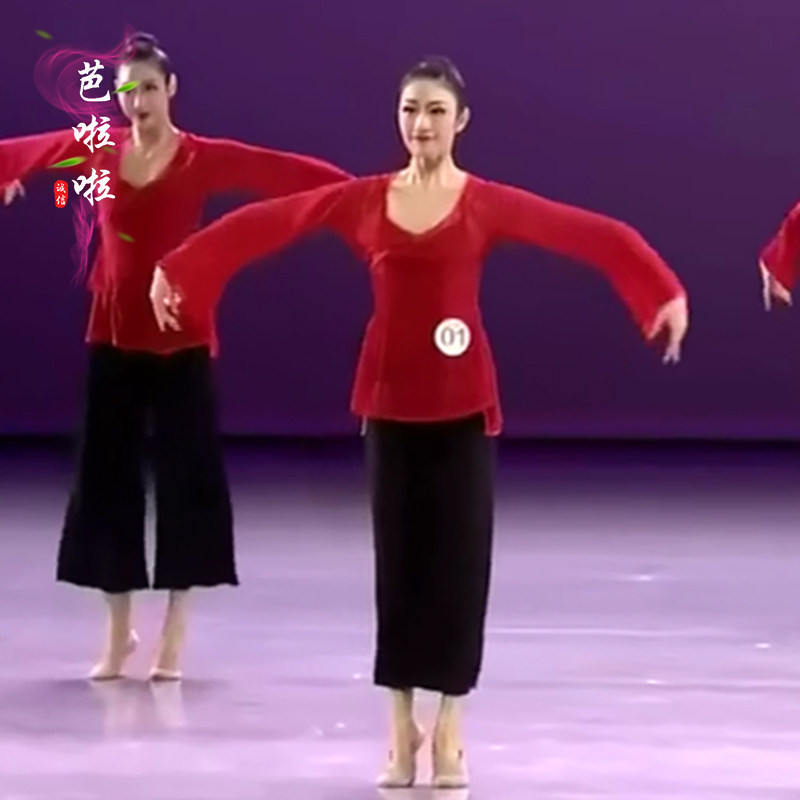 身韵巡礼舞蹈服古典舞飘逸纱衣弹力北舞H班服阔腿裤练习演出表演