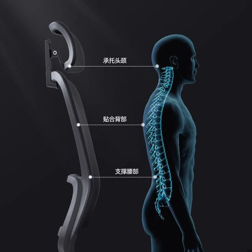 办公椅子升降旋转人体工学椅办公电脑椅久坐不累职员办公椅靠背椅