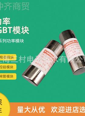 全8新熔断器保险丝F10AM40V2PtZ084984 FR10AM4V4P0tY0R52CYE59