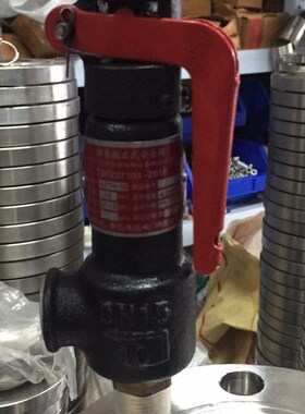 A27H-10弹簧式安全阀/储蓄罐安全阀微启式DN15 DN20 DN25 DN32-50