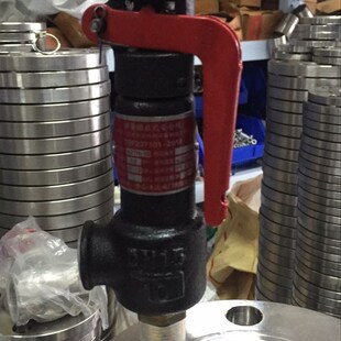 储蓄罐安全阀微启式 DN15 DN20 A27H DN32 安全阀 DN25 10弹簧式