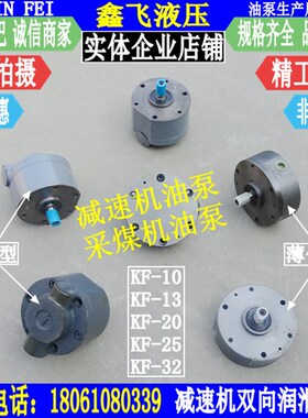 2KF-13 2KF-10 8 15 20 32可逆转摆线油泵TXSX FS 双向齿轮润滑泵