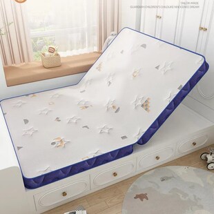 床垫硬垫子硬床垫棕垫床垫棕垫天然椰棕床垫老人护脊床垫子偏硬