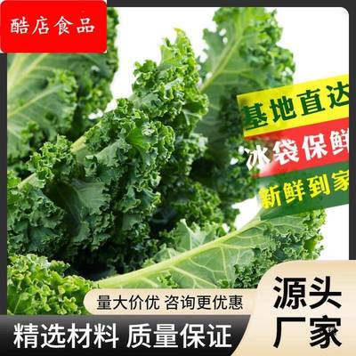 送礼羽衣甘蓝新鲜蔬菜食用榨汁烤片健身轻食2斤顺丰包邮西餐沙拉