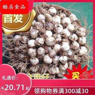 甘肃省兰州鲜百合花食用推荐种植母籽带根 新款可种农家直销包邮