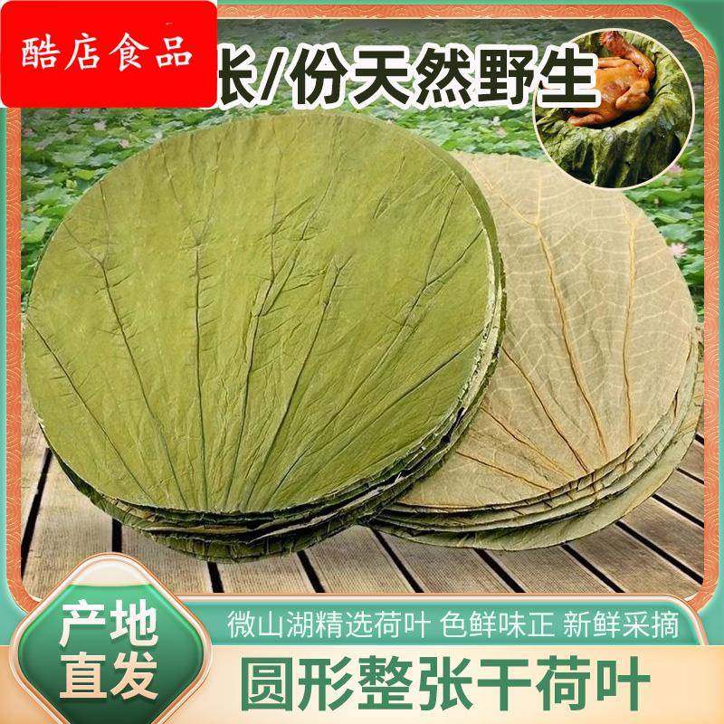 荷叶糯米鸡专用荷叶大号荷叶整张微山湖圆形整张荷叶14*100张包
