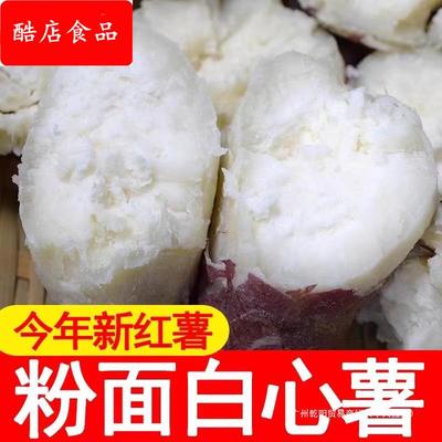 河南老品种爆皮番薯农家自种板栗红薯粉糯香甜新鲜白瓤地瓜白薯