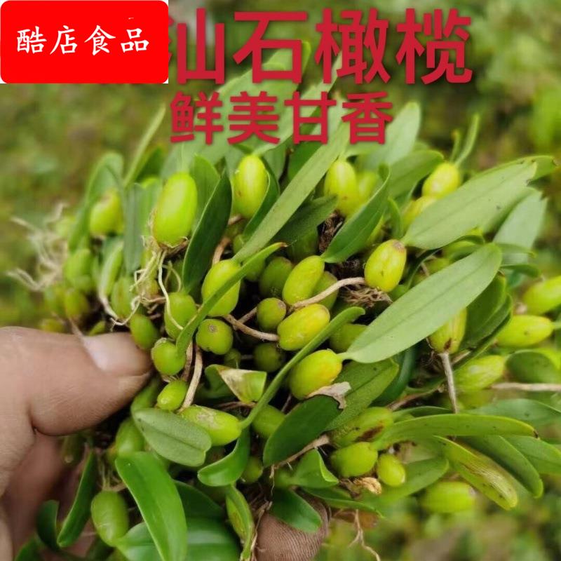 石橄榄 新鲜潮汕单叶中果双页小果石仙桃石岩珠果上叶煲汤