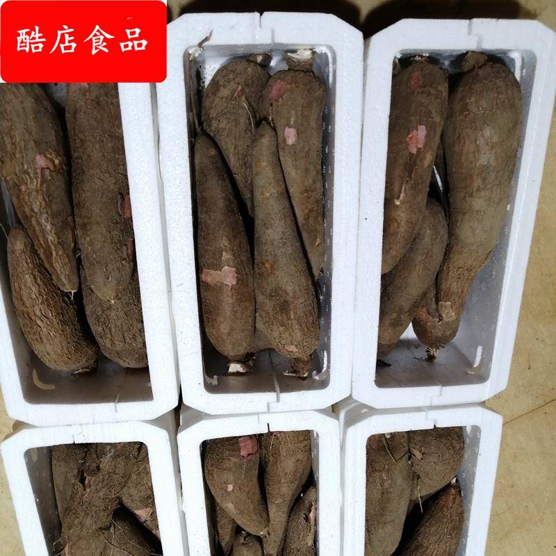 海南新鲜白肉白心木薯 现挖面包木薯 粗粮奶茶店糖水产地直发包邮