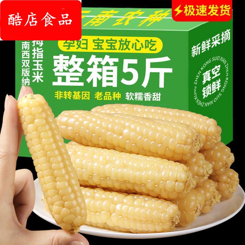 拇指玉米婴儿西双版纳手指小拇指香糯小玉米云南宝宝姆母指版纳糯