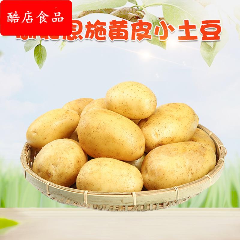 湖北恩施黄皮小土豆 3斤农家自种新鲜蔬菜粉面土豆非红皮土豆