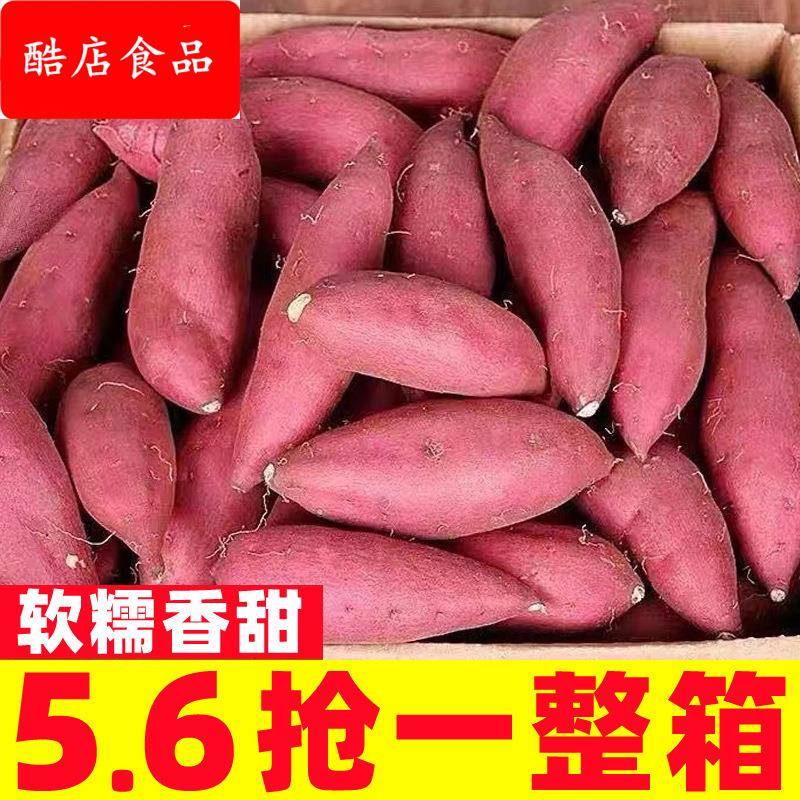 沙地蜜薯新鲜红薯10斤农家香甜薯板栗黄烤地瓜糖心烟薯25号小番薯