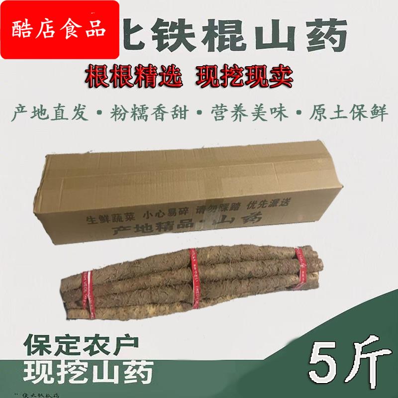 蠡县特产小白嘴山药5斤新鲜河北铁棍山药垆土怀山药白辅食