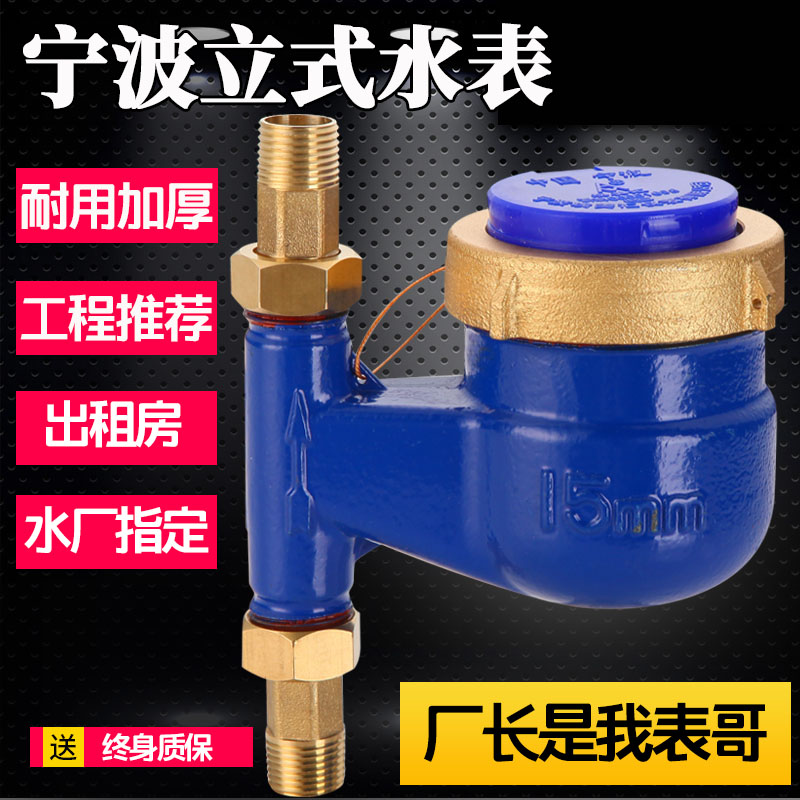 立式水表旋翼式数字水表自来水冷水表热水表家用4分6分接头DN15