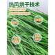 兔子提FGH摩西晒干烘叶干提豚鼠猪饲料牧兔干粮直北销
