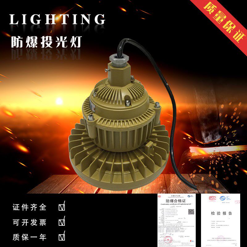 【冲钻特价】防爆吸顶灯 BAD84 LED照射灯 吸顶灯 壁灯