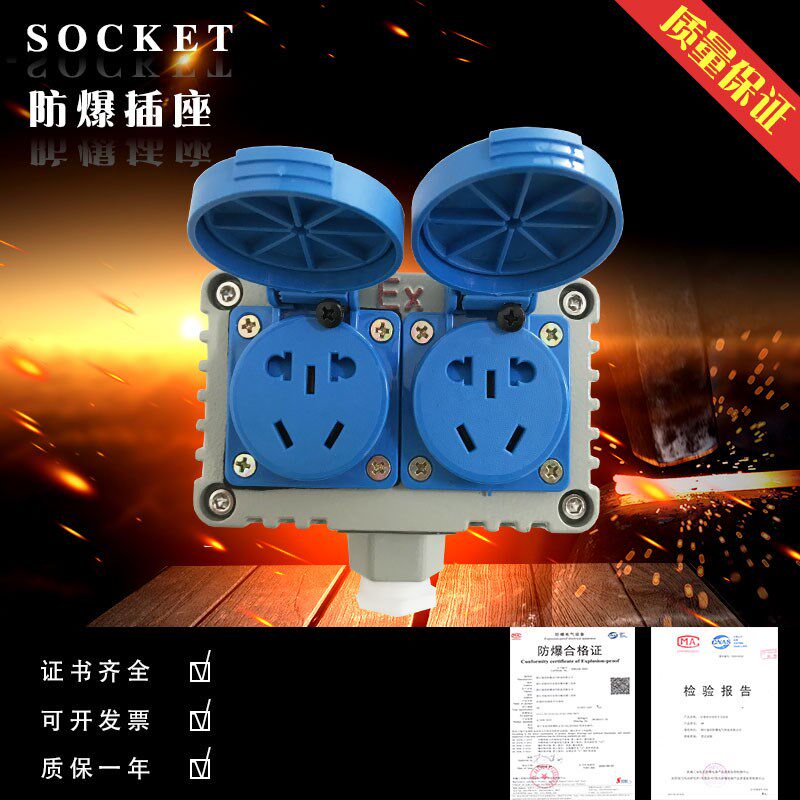 工业防爆插座明装暗装通用新国标十孔防水10A220V电源消防墙壁插