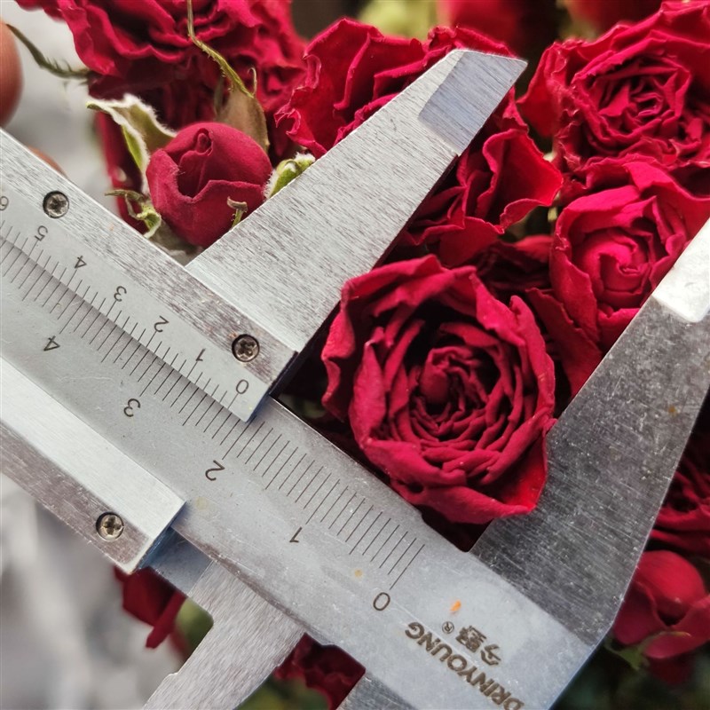 玫瑰干花霓虹惊艳金枝玉叶花束插花花艺摆件真花压花独特