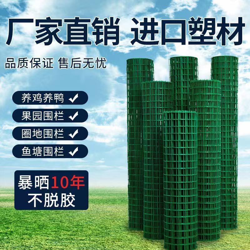 硬塑加粗内丝养殖鸡鸭铁丝网荷兰网护栏网圈地围栏铁丝防护网围栏