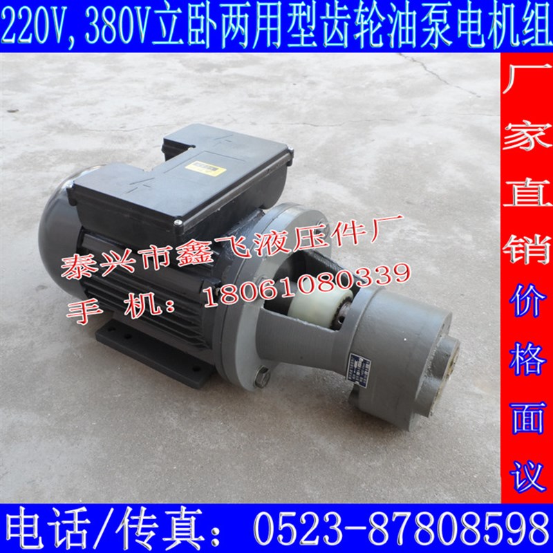 CB-B20JZ  16JZ  B25JZ B32JZ齿轮泵电机组220V电动装置YE2-90L-4