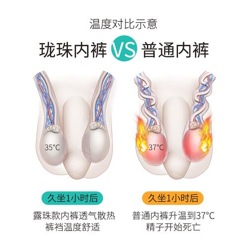 珑珠露珠款枪弹分离男士露蛋内裤夏季裤裆闷热透气降温Z健康平角