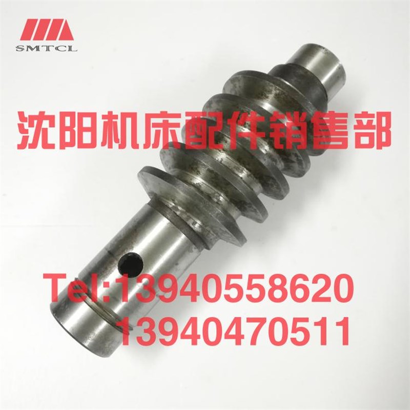 济南机床B2016A B2012A B1016A B2020Q龙门刨床蜗杆BB2-55 L175