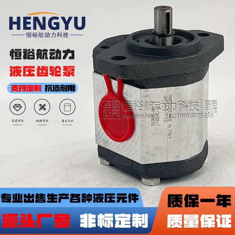 马祖奇高压油泵MARZOCCHI齿轮泵GHP1A-D-7-FG泵GHP2A GHP3A液压泵