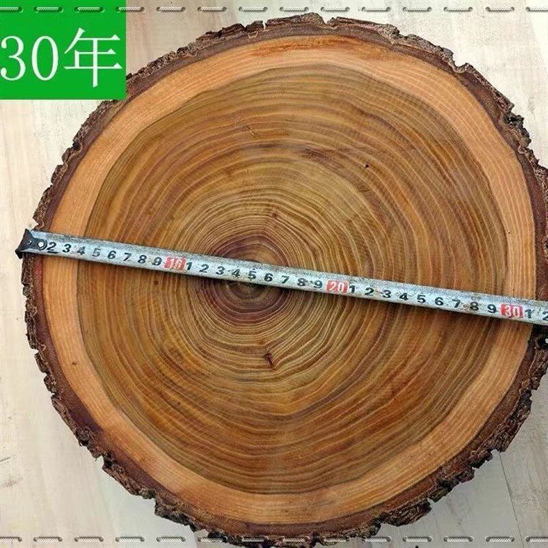 榆木菜墩实木圆形整木剁骨肉墩砧板加厚J家庭肉摊饭店专用榆木菜