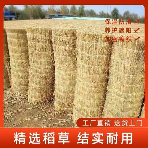 防冻稻草帘子定作大棚保温防寒屋顶遮阳装饰工程养护保湿草垫