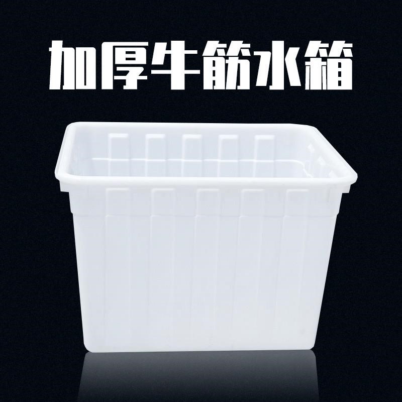 加厚牛筋塑料水箱长方形养鱼水产养殖箱大盆家用方桶储水桶塑