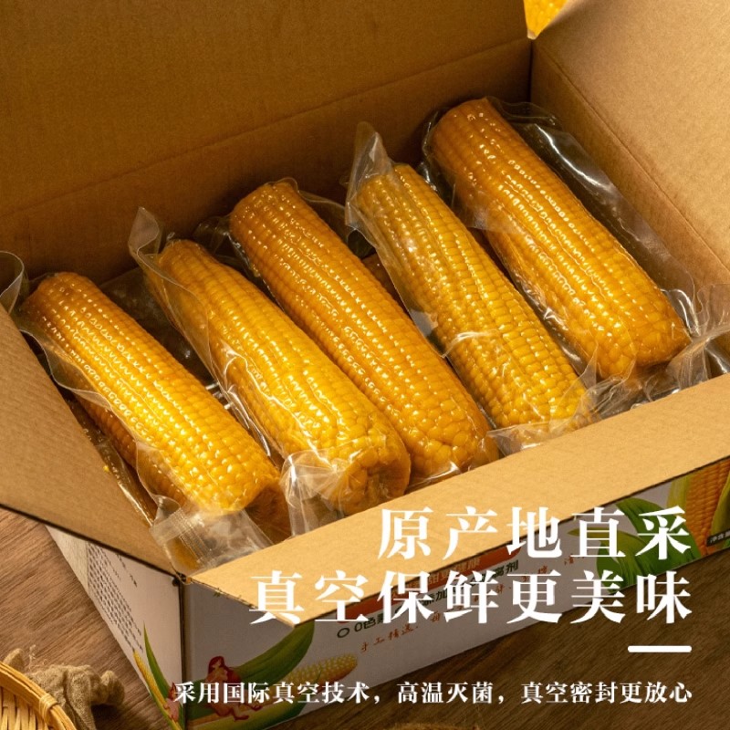 真空传统老式笨玉米即食10根山东