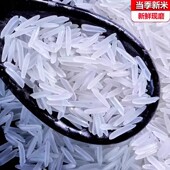 2025年新米正宗猫牙米晚稻丝苗超长粒香米大米5斤10煲仔饭蛋炒饭