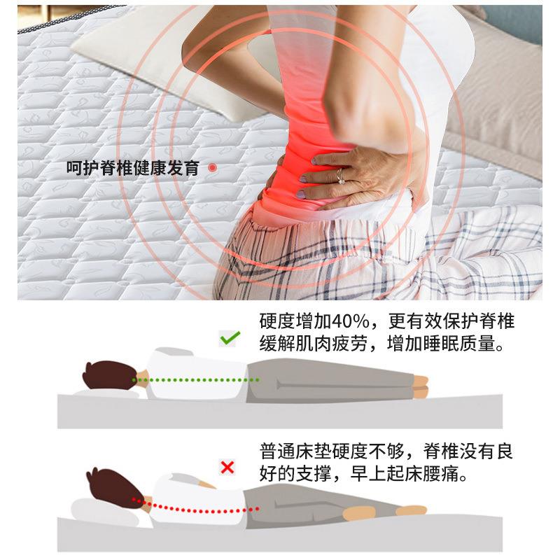 加硬护脊护腰棕榈硬垫榻榻米椰棕床垫棕垫出租房儿童专用硬垫子