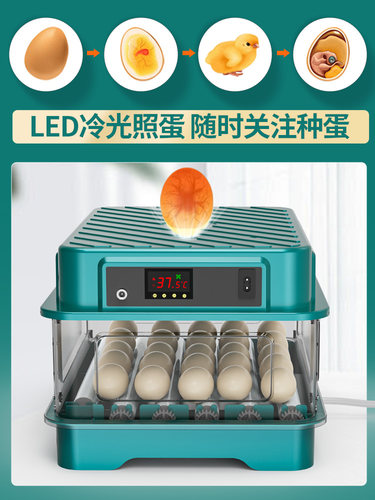 孵化器 全自动智能小型家用鸡鸭鹅鸽子芦丁鸡 恒温孵化器