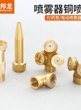 柱塞泵配件打药机雾化喷头喷雾器高压全铜喷嘴打药枪单三枪头家用