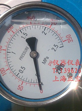 YN100BF 2.5Mpa/350Psi 全不锈钢耐震压力表 防腐压力表