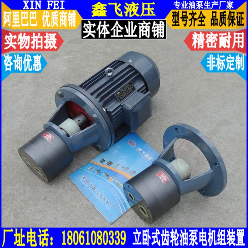 HYCB-B40JZ B50JZ B63JZ B80JZ B100JZ B125JZ齿轮油泵电机组装置